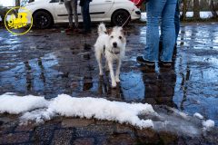 2025-2026-BAK-van-Boemeldonck-260104-012