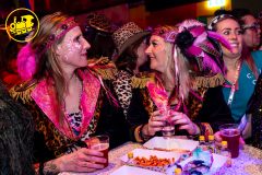 Bezoek Femmekesbal | 27-02-2025