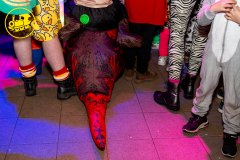 Bezoek Scoutingkarnaval | 06-02-2026